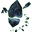 Black Spirit Shard