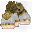 Ordelin Gauntlets