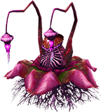 Violet Boo