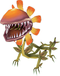 1st Class Fefern
