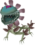 Violet Fefern