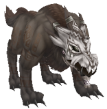 Small Hundur Sharpfoot