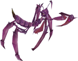 Violet Red Mantis