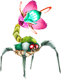 Pink Roach